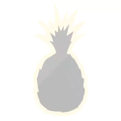 A pineapple shaped lighted mirror on a white background in Hobart.